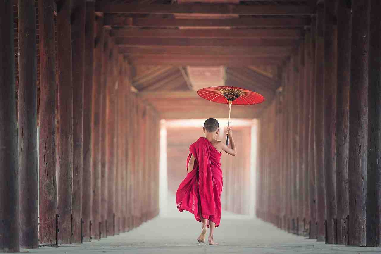 parapluie, bouddhisme, moine